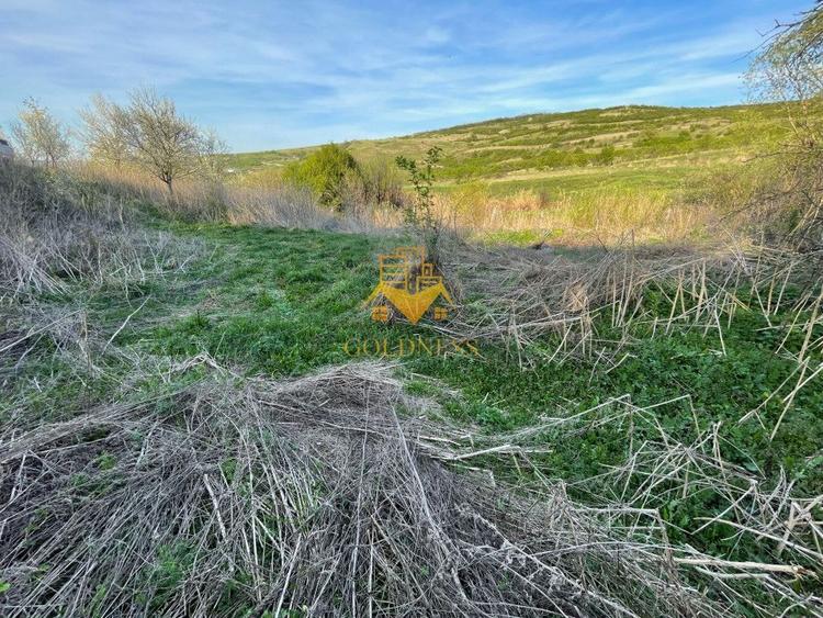 Tren Soporului Intravilan ,5500 MP Utilitati, Oportunitate