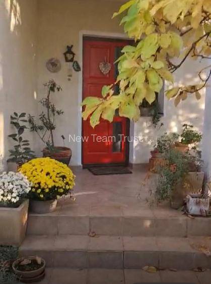 Vanzare Vile  Pipera  Scoala Americana - 14