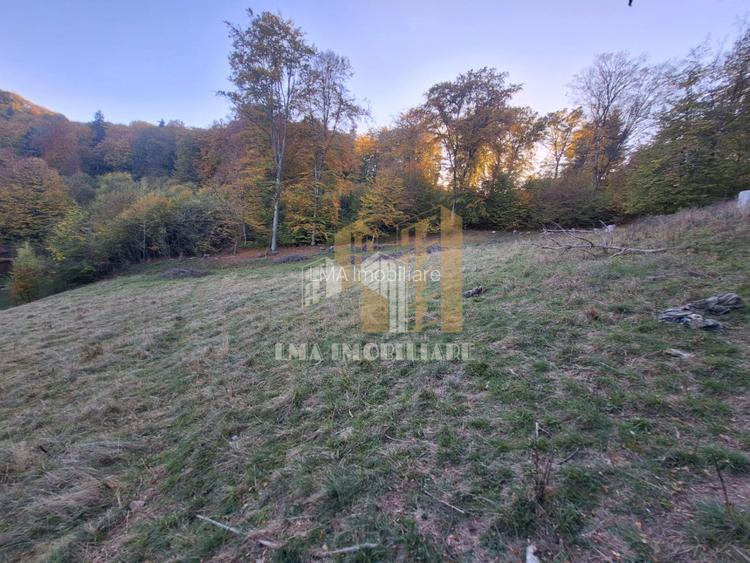 Teren de vanzare 2900 mp Brasov Strada Ciresului - 5