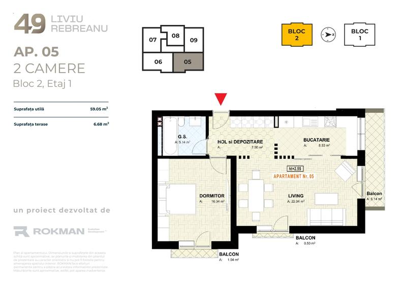 49 LIVIU REBREANU - 20