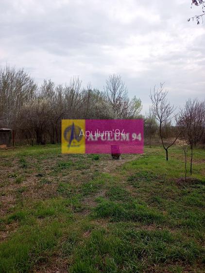 GIURGIU - COM. BUCSANI (SAT OBEDENI) CASA 2 CAM DE VANZARE - 28