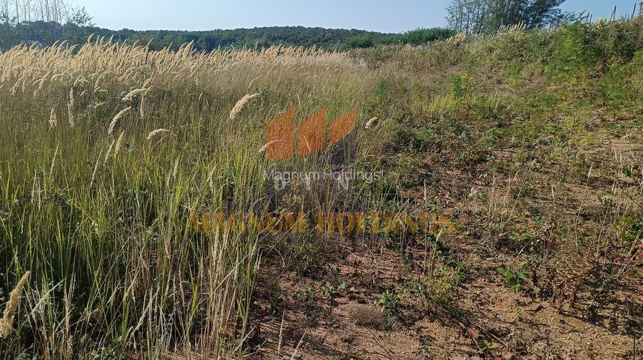 Teren cu autorizatie si proiect de construire, utilitati, Smeura - 7