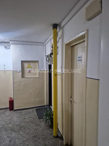 COLENTINA - D-NA GHICA, VAV DE PARCUL PLUMBUITA, - 2