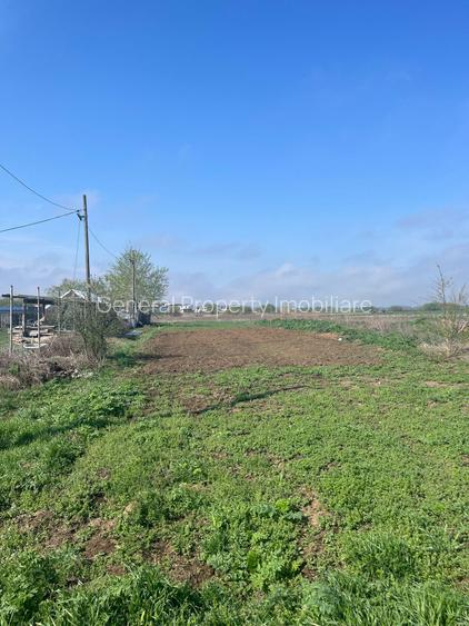 Teren TUNARI  600 mp - 5