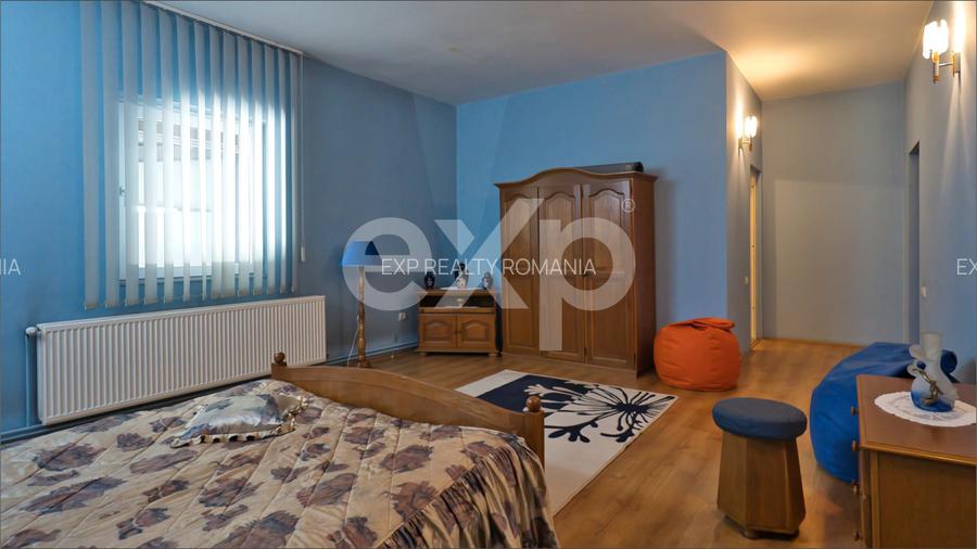 Proprietate industrială cu vizibilitate DN13 – Hală, birouri și teren 6.250 mp - 16