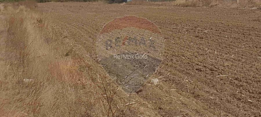 Teren intravilan 3,261mp Balotesti / Strada Rozelor - 3