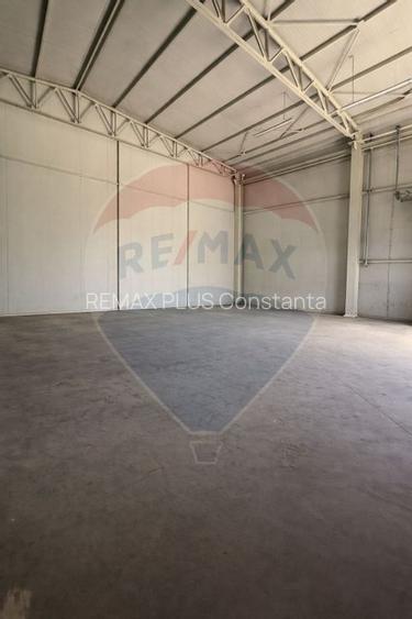 Hala industriala de vanzare in Poiana-Ovidiu - 2