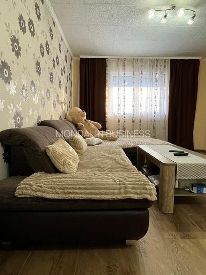 Casă 5 camere, 7700 mp teren ,Comuna Ineu. - 6