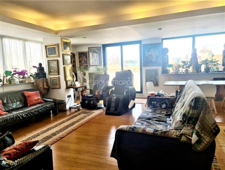 Apartament tip penthouse Kiseleff - 4