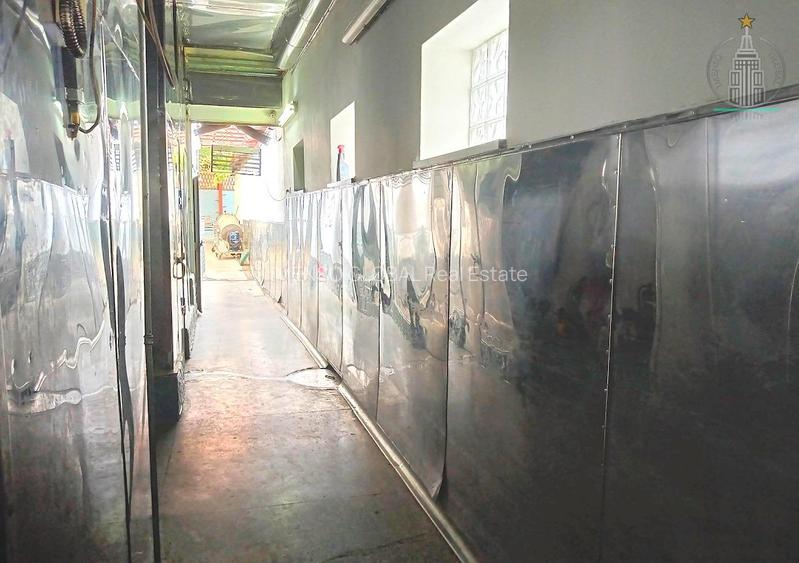 Ocazie unică in Brașov - Vilă Multifuncțională Ultracentrală, sub prețul pieței - 5