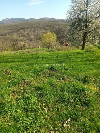 Vând terenuri,intravilane și extravilane !!! - 12