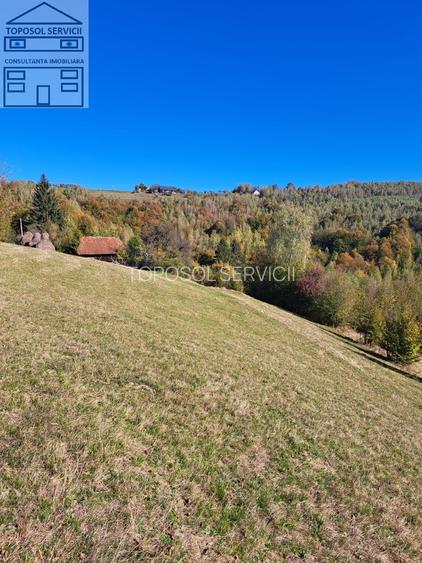 Teren extravilan in localitatea Bulz - 12