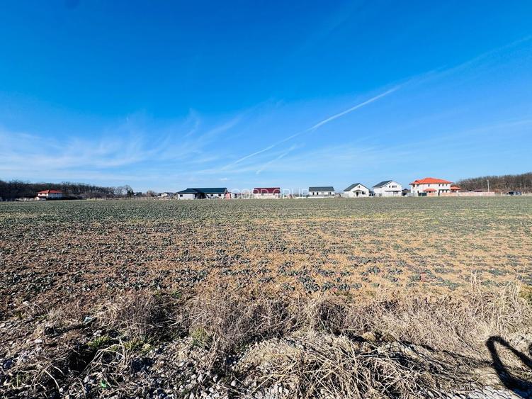 Teren Ciofliceni lângă pădure,Utilități complete Comision 0 - 4