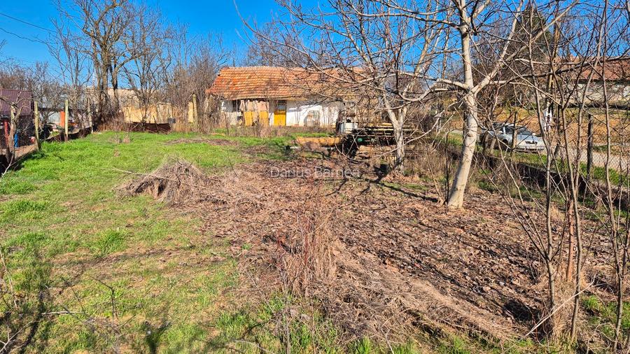 Casă batraneasca și teren de vanzare - 3