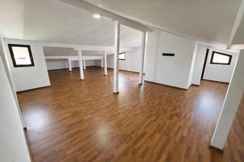 Proprietar vand vila in zona Margeanului - Antiaeriana - 14