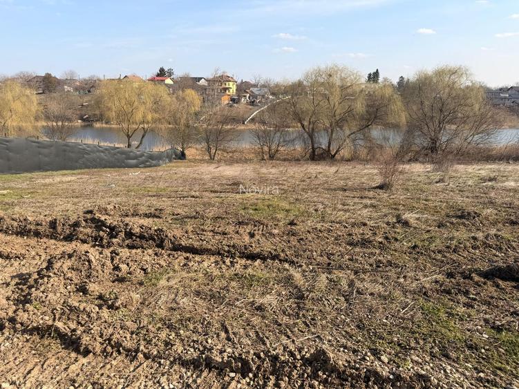 TEREN CU DESCHIDERE LA LAC / LA DOAR 100 M DE PADURE / UTILITATI - 9