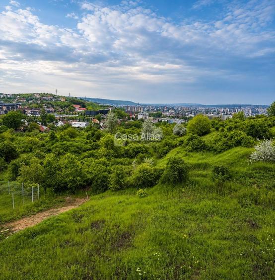 Bucium - LIDL, teren cu autorizatie constructie S+P+2E, toate utilitatile - 4