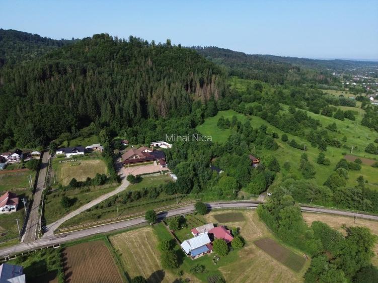 Cabana Montana- Pensiune- Sala de evenimente (Bârlogul urșilor) - 3