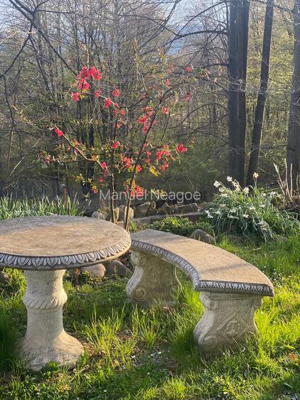 Proprietate Breaza de vis , zona de vis , prezentarea agentului , de vis - 34