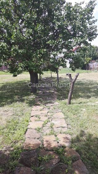 Vand teren cu casa in Utvin - 4