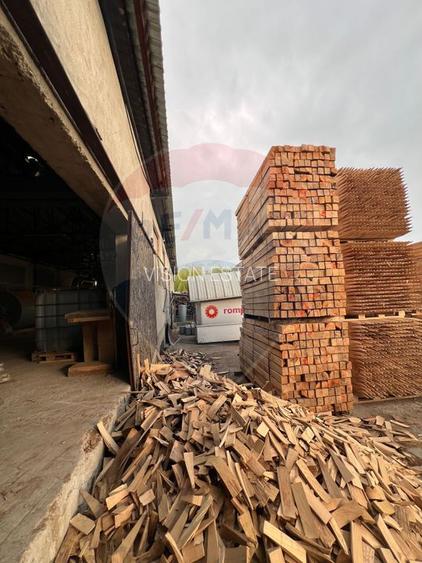 Spațiu industrial de 7,756mp de vânzare - 14