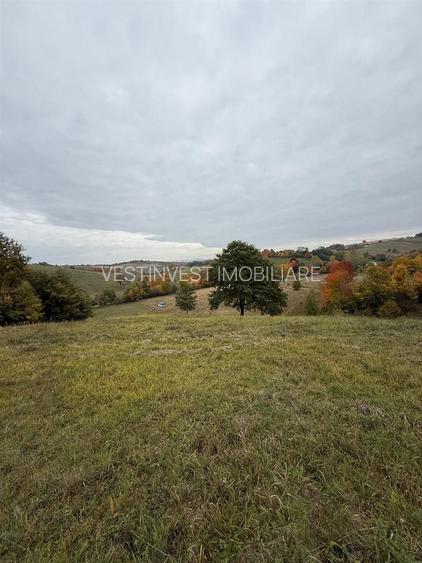 Teren intravilan 17,265 mp in Tomnatic comuna Vadu Crisului - 2