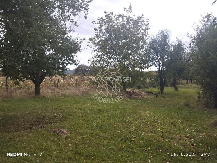 Teren intravilan 1500 mp-ideal casa-Mijlocenii Bargaului - 2