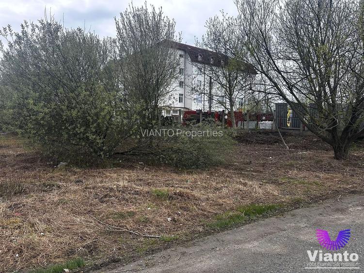 TEREN INTRAVILAN 2000 MPU - NEPPENDORF - TURNISOR - 2