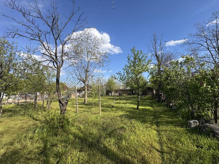 Casă + teren 1600 mp – Ulmeni, Buzău - 15