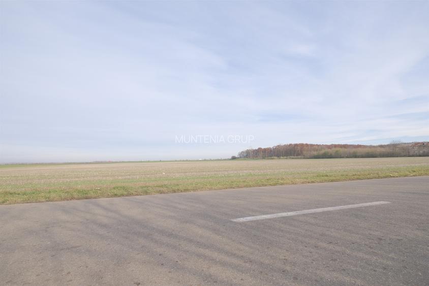 Ocazie ! GHERGHITA - nodul A3, 27 Ha. teren compact cu P.U.Z. aprobat - 6