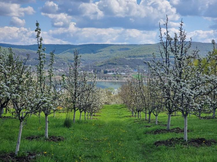 Pamant vanzare | Lac Zigoneni | Valea Lui Enache | Priveliște superba - 10