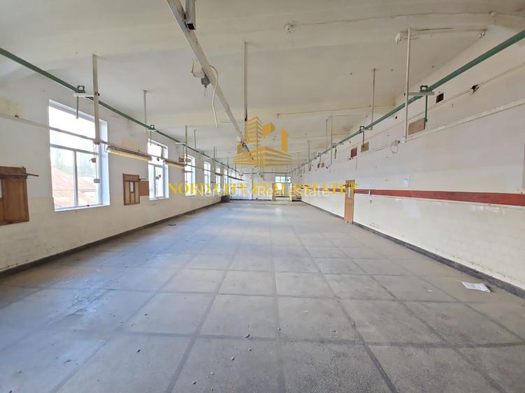 Platforma Industriala-8 ha -Fabrica-Hale Productie-21.500 mp - 13