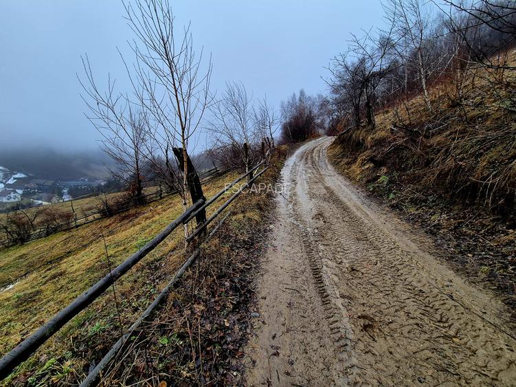 Teren intravilan Simon/Bran, 4318 mp , casuta intabulata, utilitati - 32