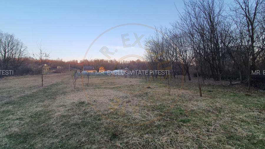 Teren intravilan pentru Casa de Vacanta - Mosoaia -Basangesti - 4