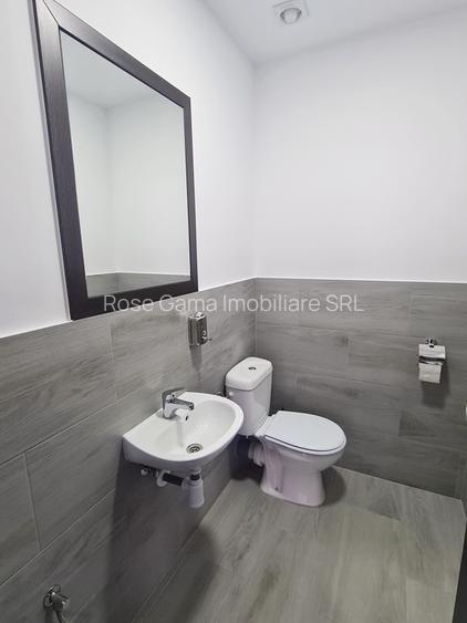 Spațiu birouri / depozitare / producție ușoară – Tătărași, Aurel Vlaicu - 3