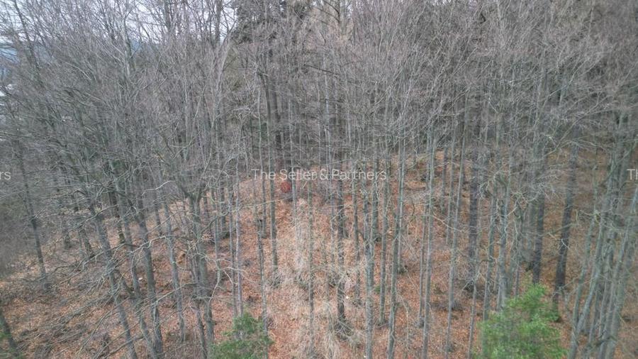 Teren in vecinatatea Castelului Peles - SINAIA - 6