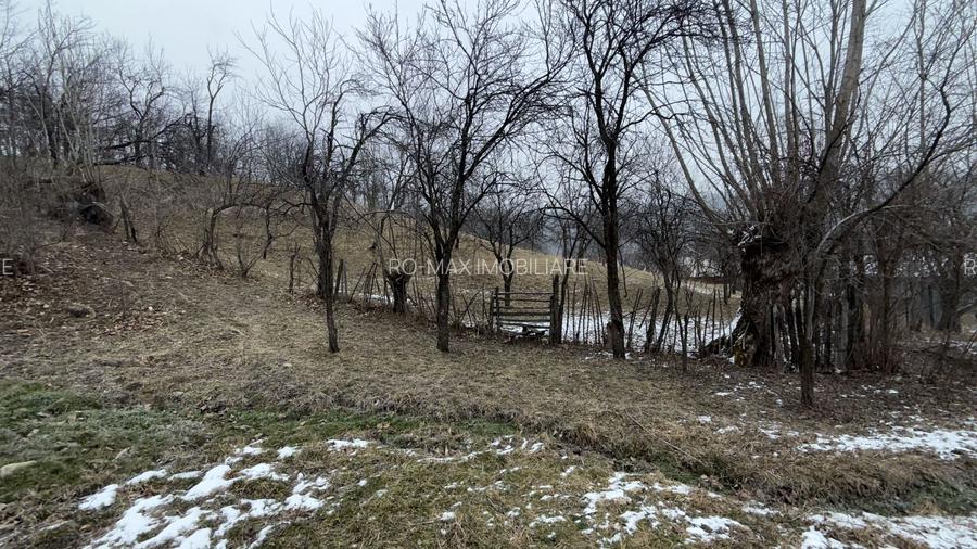 Teren 4652 mp cu izvor pe el, Lunca Mare, lângă păstrăvăria Doftana - 8