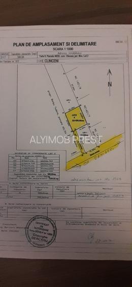 VANZARE TEREN CLICENI - ORHIDEEI - 2