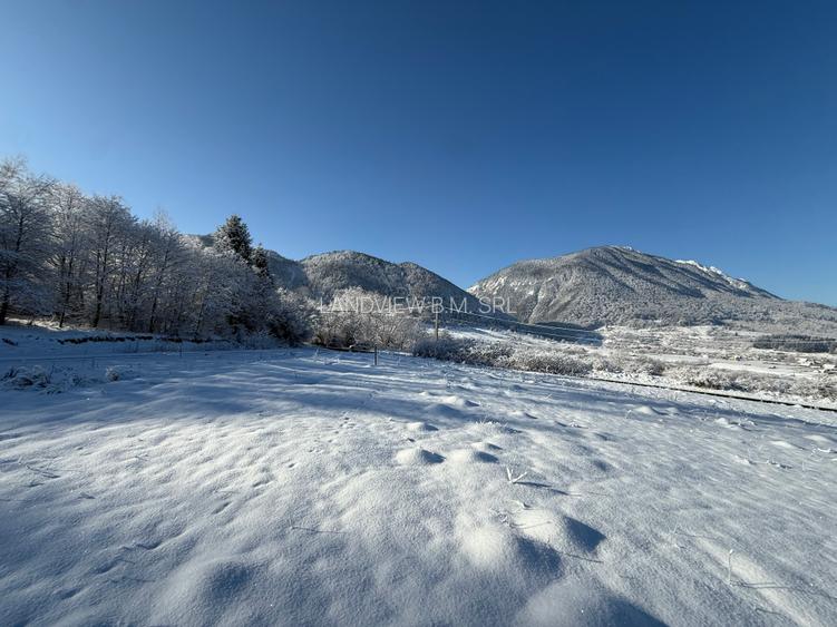 Teren intravilan 500 sau 1000 mp Bran-Tohanita la dum asfaltat - 9