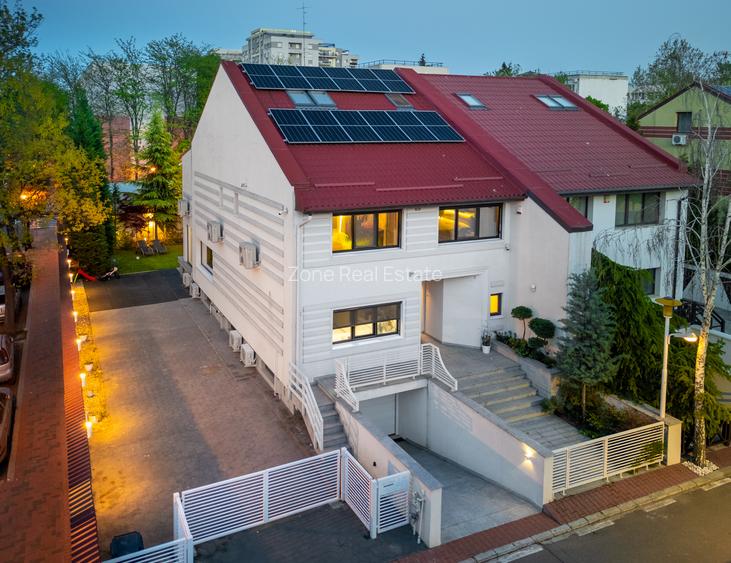 Vila Theodor Pallady  de vanzare  O proprietate care va depăși orice așteptare! - 3