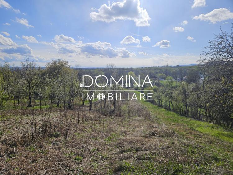 Vanzare teren 4606 mp - Sat Balta - Runcu - la aproximativ 20 km de Targu Jiu - 5