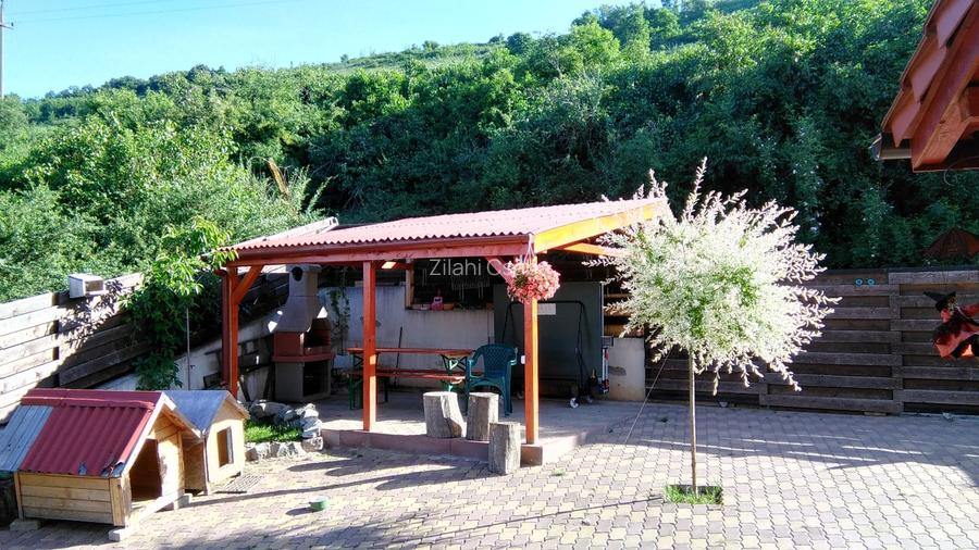 Aproape de oras și de natură  |  Parter cu acces independent | Baciu, lângă Cluj - 13