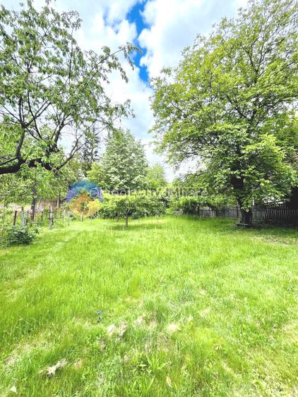 CASA  comuna ALEXANDRU cel BUN - VIISOARA - 16