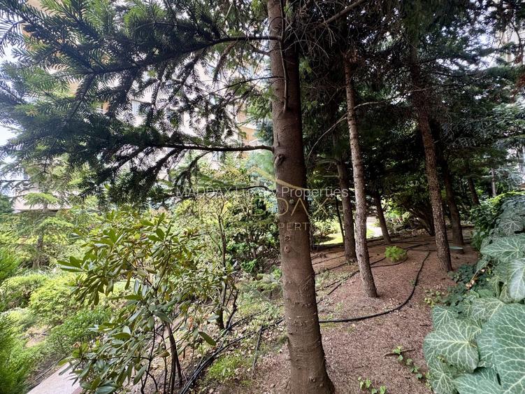 Apartament cu 5 camere parter + Gradina 100mp // Herastrau - Aviatiei - 40