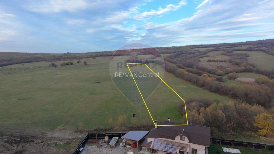 Teren 5.800 mp Purcareni curent, gaz, apă / Strada 30 decembrie - 5