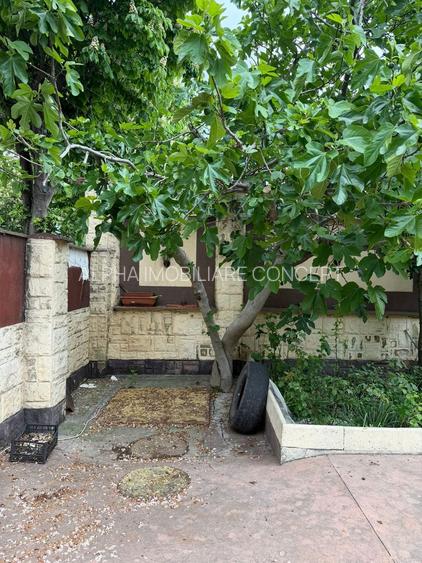 Casa D+P+M teren 333mp - TOMIS II - 22