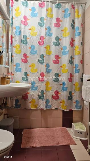 Tineretului-Trestiana-Apartament de 3 camere - 12