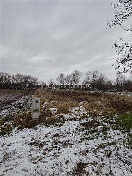 Teren intravilan in Santaul Mare - 2