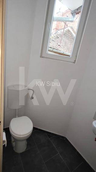 2 Case de vanzare și pivniță, str. Teilor – Sibiu - 15