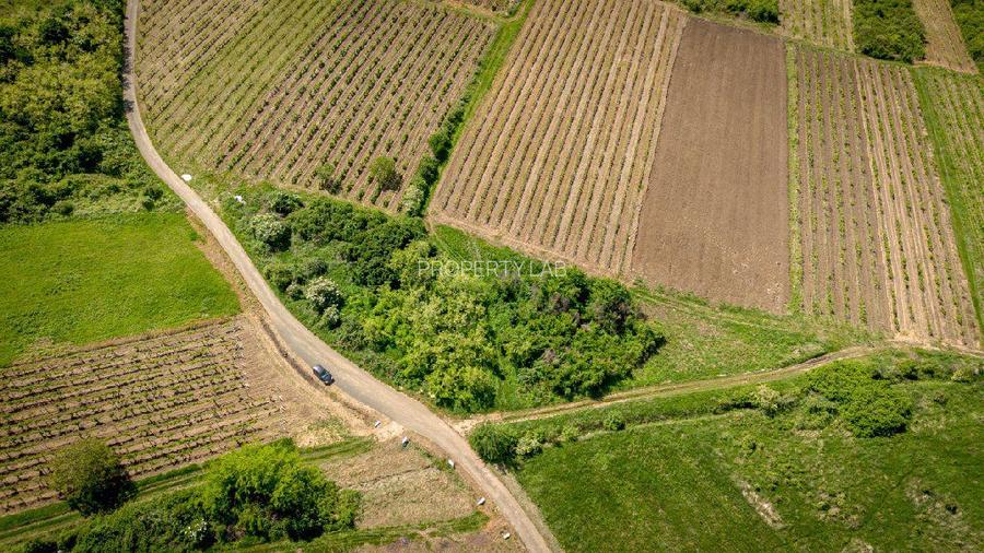 Teren extravilan - 3654 mp Dealul Șiriei - 8